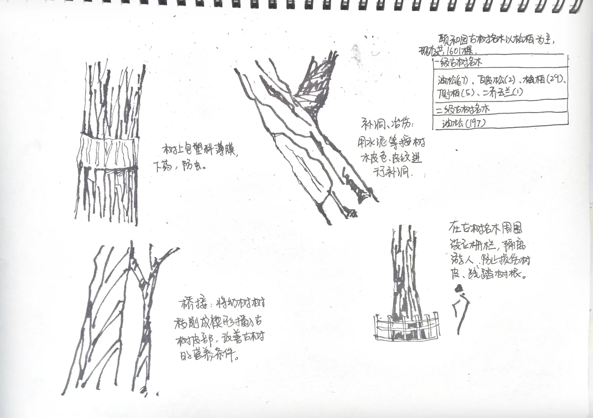 Gallery image 32
