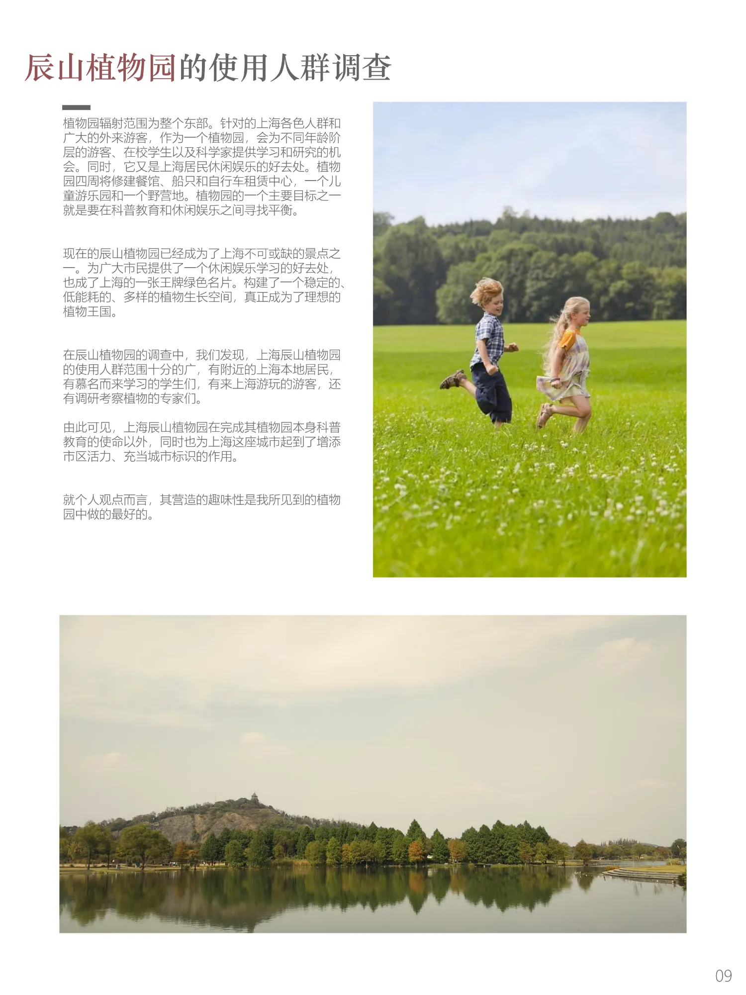 Gallery image 12