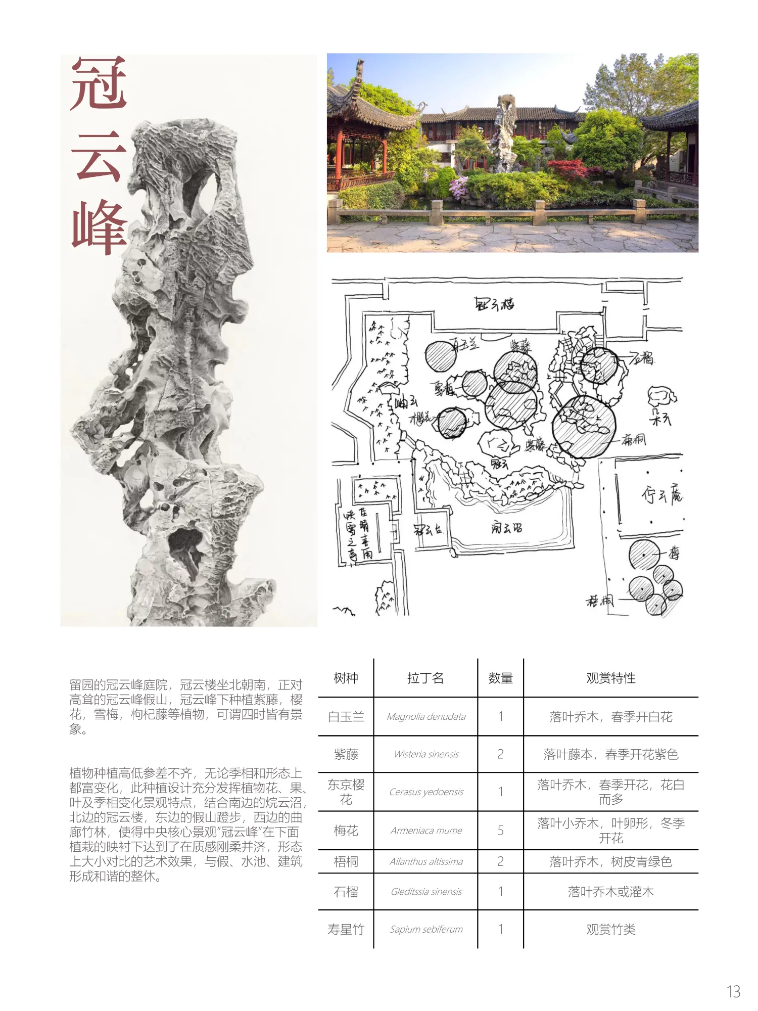 Gallery image 16