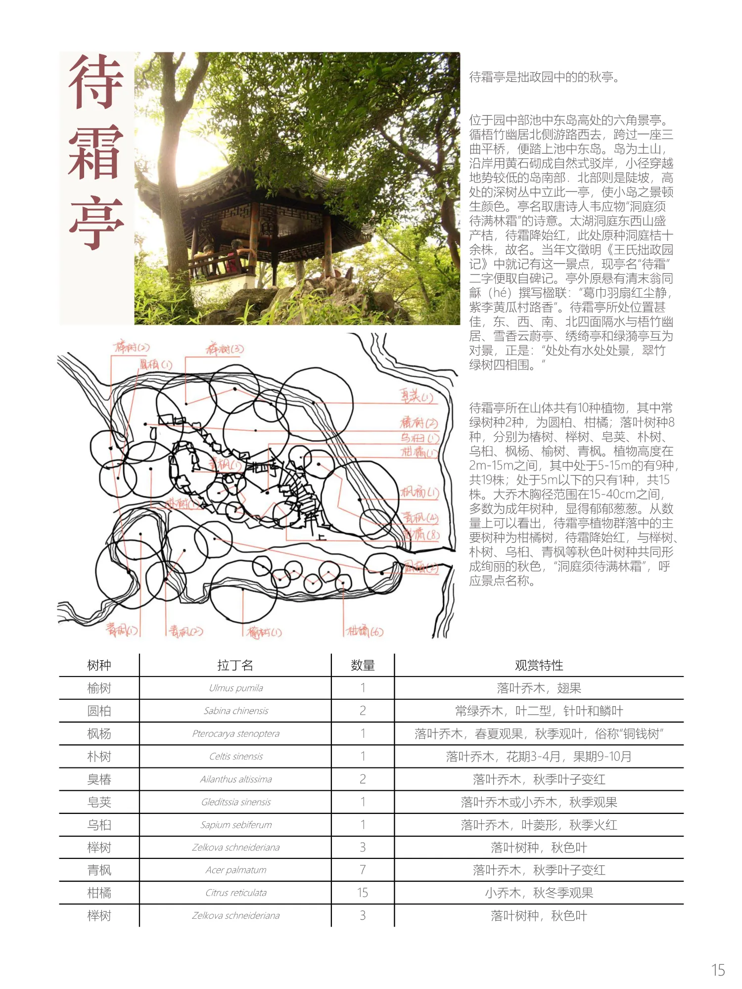 Gallery image 18