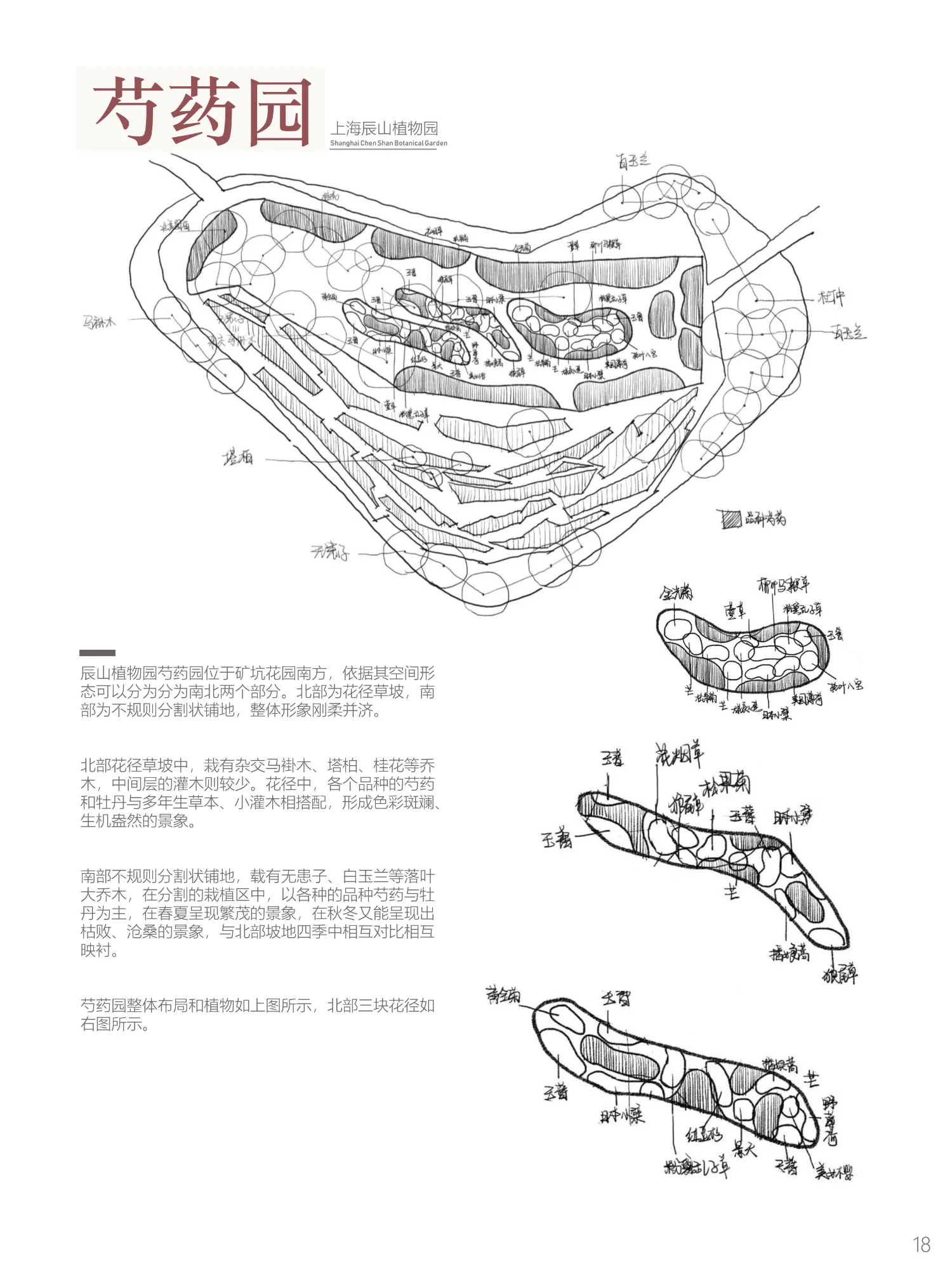 Gallery image 21